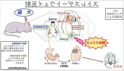 病氣