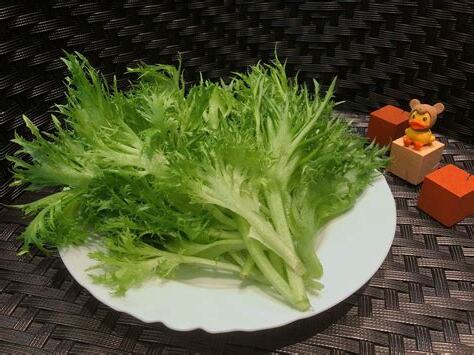 綠麒麟