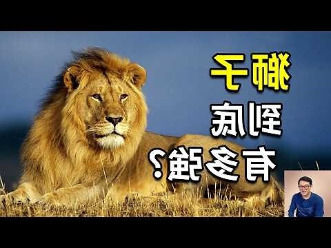 獅子藥膏