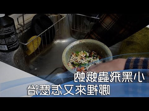 飛蛾出現