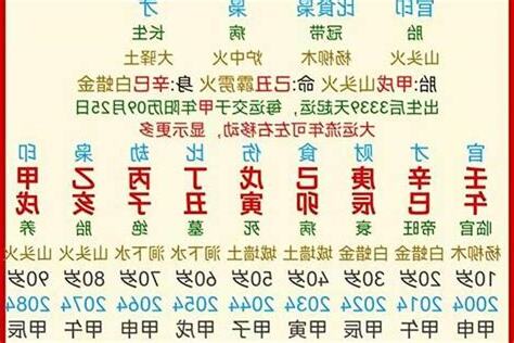丁卯年五行