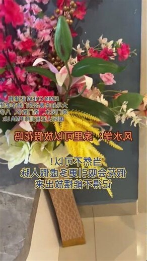 客厅可以放假花吗