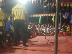 中國海南公祖