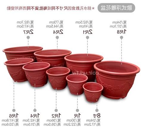 花盆尺寸怎麼看
