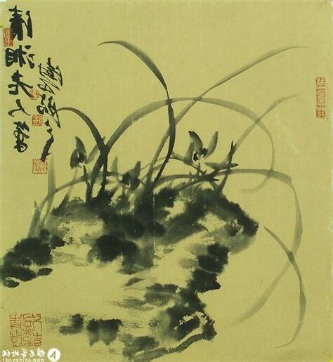墨兰