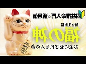 女命偏財格