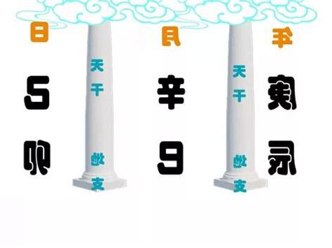日干是什么
