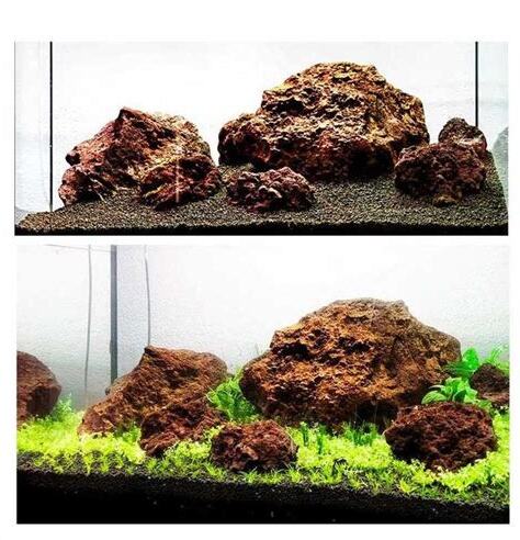 魚缸放石頭