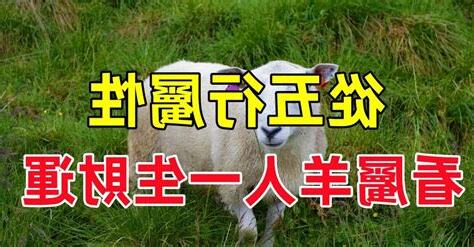 羊五行屬性
