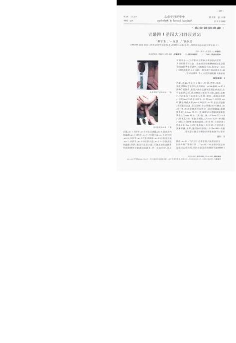 男性阴茎