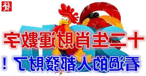 財運數字