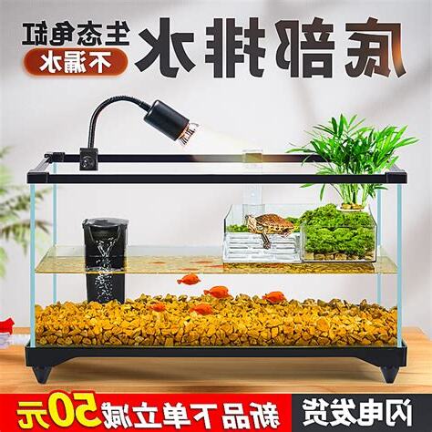 魚缸養烏龜