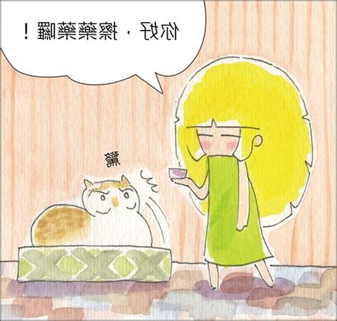 家裡來貓