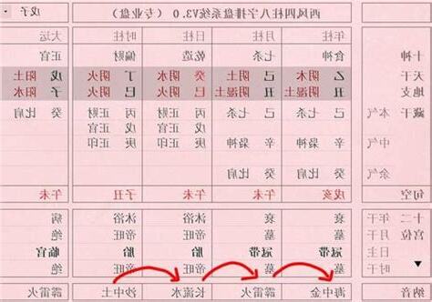 偏枯命