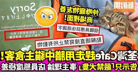 趕走貓