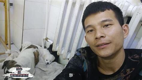 狗来家里代表什么