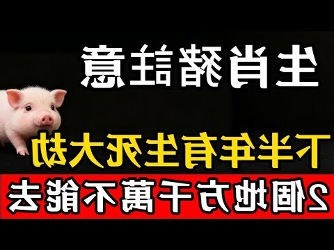 屬豬適合的生肖