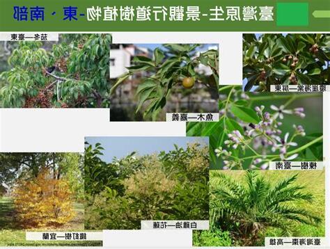 耐種植物