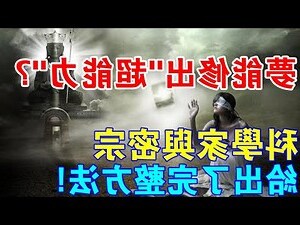 夢到兩隻烏龜幾號