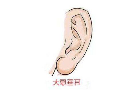 佛耳打耳洞