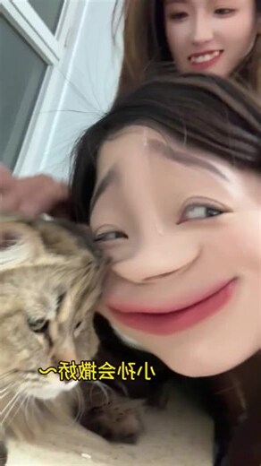 貓狗不合