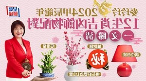 屬豬佩戴飾物