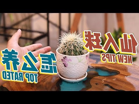 仙人球種類