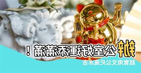 文工尺吉數