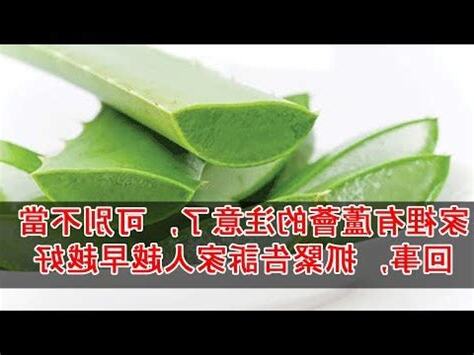 蘆薈避邪