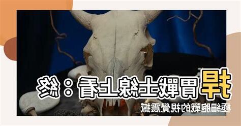 捍胃戰士線上看