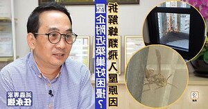 屋企有蜂巢風水