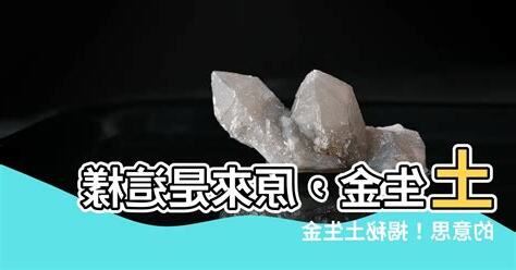 土生金行業