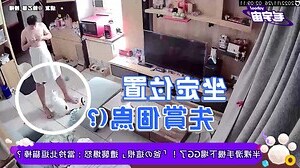 狗狗手腳冰冷