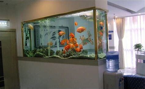 魚缸財位