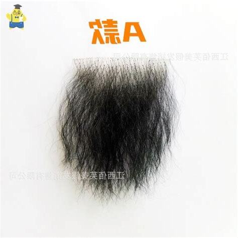 女阴毛