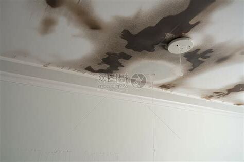 夢見客廳天花板漏水