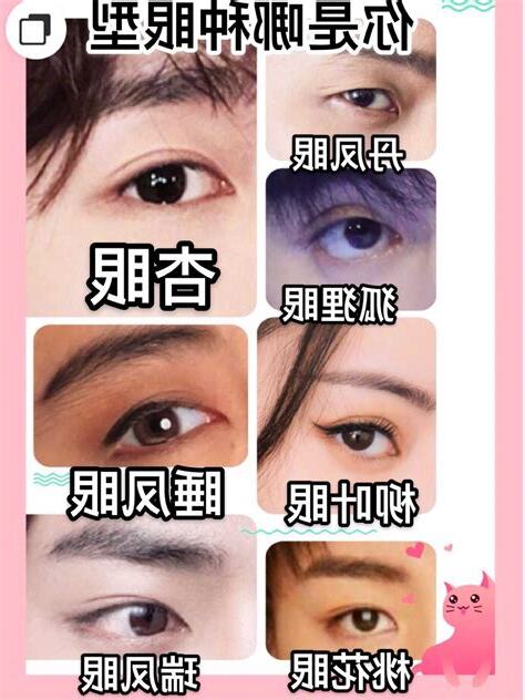 鳳眼男面相