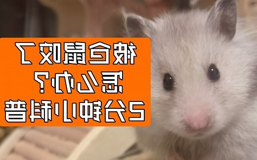 被老鼠咬到