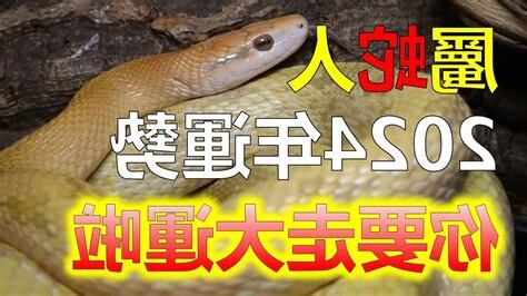 遇到蛇好運