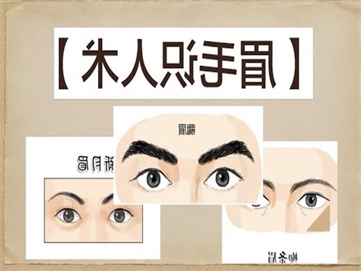 眉形面相女