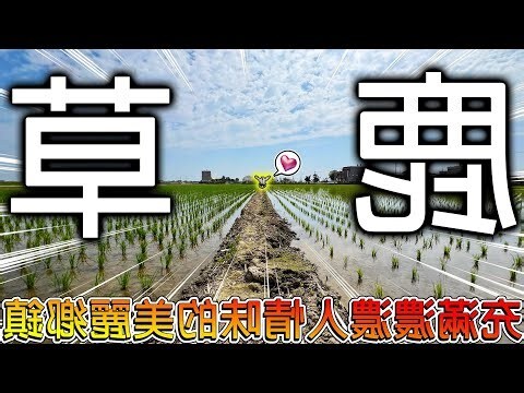 鎮煞