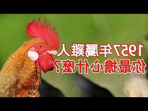 兩遍