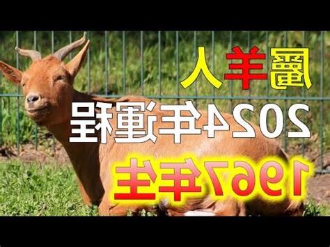 1967年生肖2022運程
