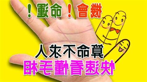 手指長度算命