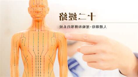 十二經絡口訣