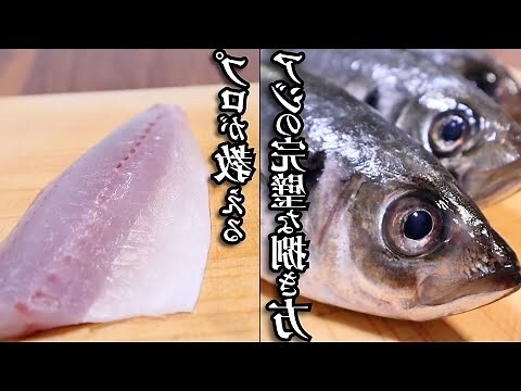 有鱗魚種類