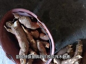 香樟木功效